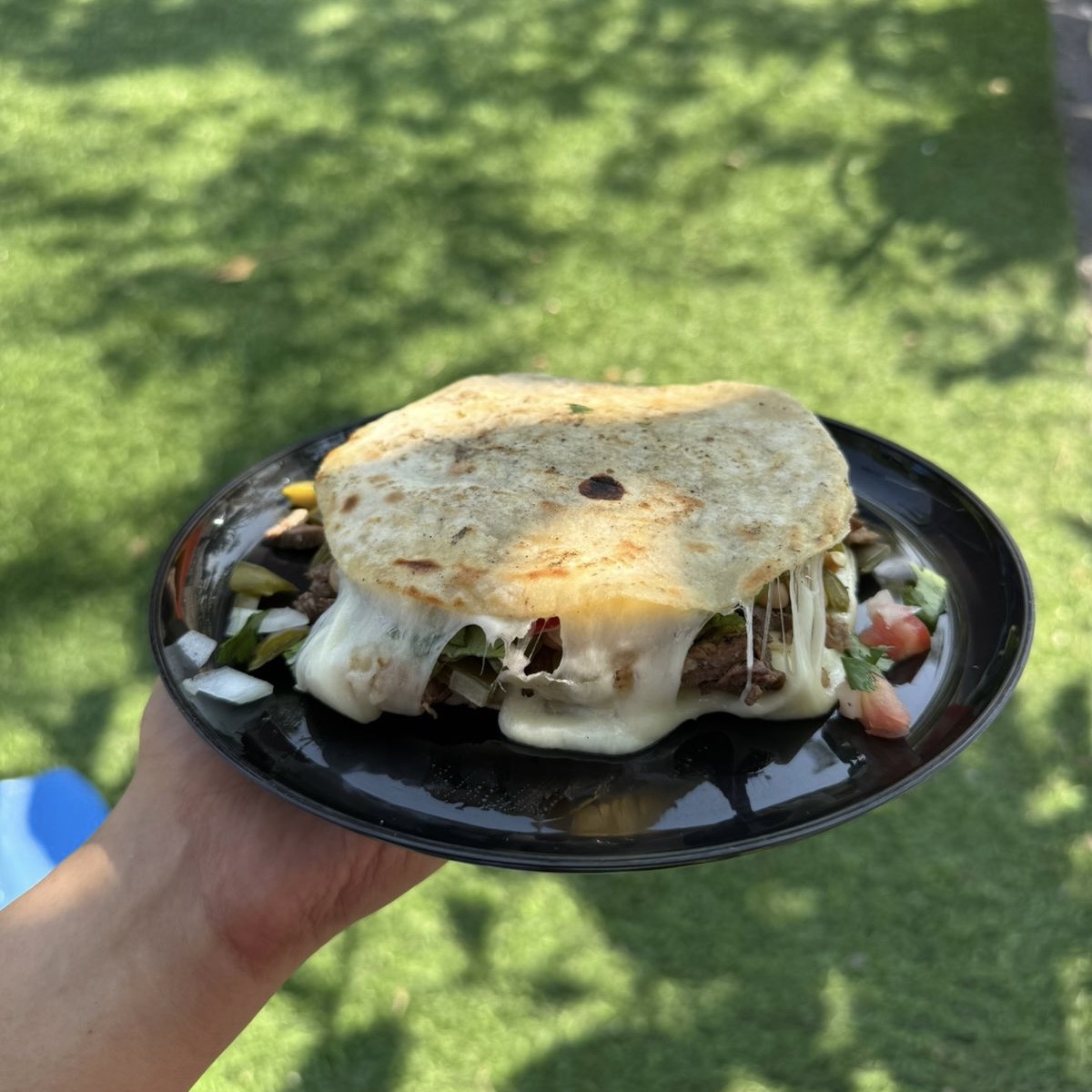 ZINCRONIZADA BARILLES 